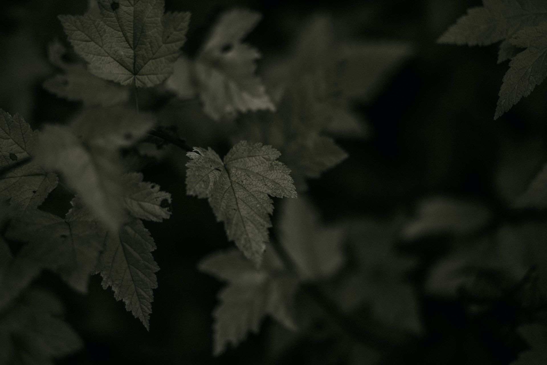joel-swick-o06aIJtjVic-unsplash